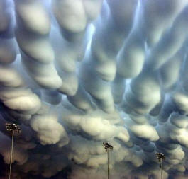 14 strangest natural phenomena