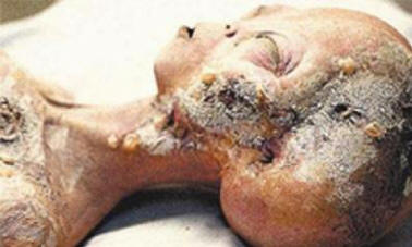 8 obscure phenomena, as inexplicable as the incident near Roswell