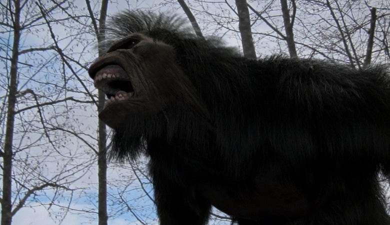 An American Recorded a Creepy Bigfoot Roar