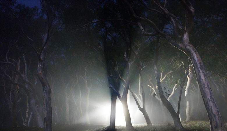 The American filmed a mysterious light in the forest and paw prints of aliens on his door
