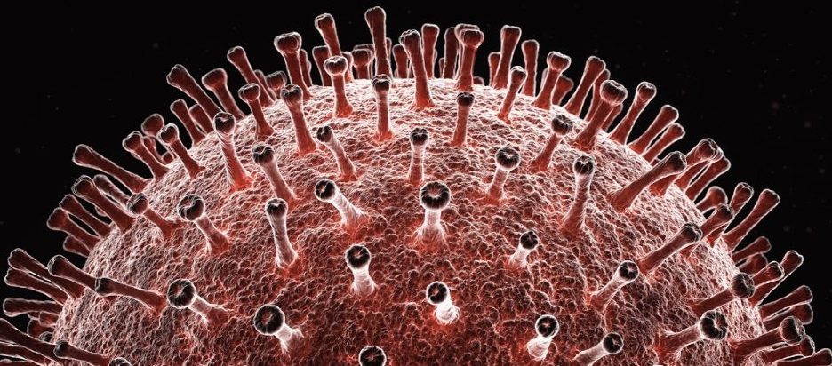 Genome analysis reveals coronavirus may be 'chimera' of two different viruses 