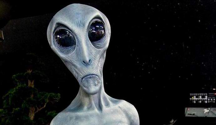 Argentine teens drove an alien into a tree