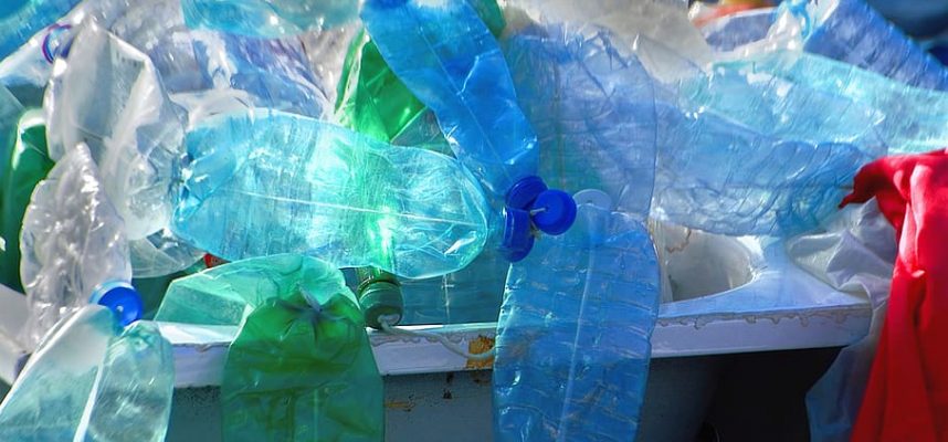 Bacterial mutant can break down plastic waste in just a few hours 