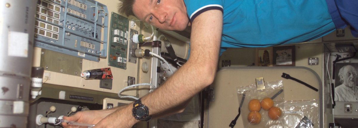 Bacteria on the International Space Station are no more dangerous than ground strains 
