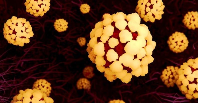 The death toll in China has skyrocketed.  Here's what we know and don't know about the coronavirus COVID-19 