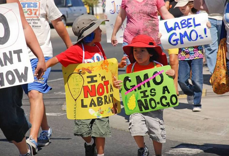 What you need to know about GMOs and people who oppose genetically modified foods
