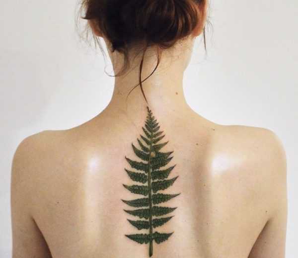 Fern tattoo  