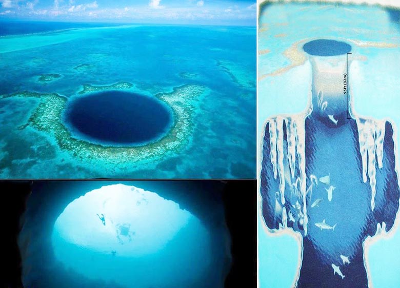 Divers talk about meeting with an unknown animal at the bottom of the karst funnel