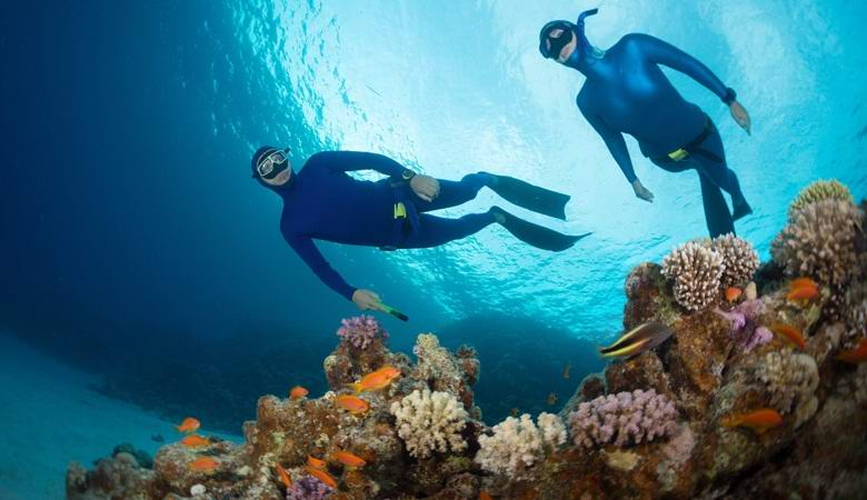 Divers complain of frightening sounds coming from the depths of the Red Sea.