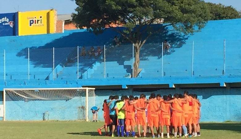 The tree growing from the stands of the football stadium is the biggest fan of the local team