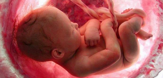 Children in the womb like classical music