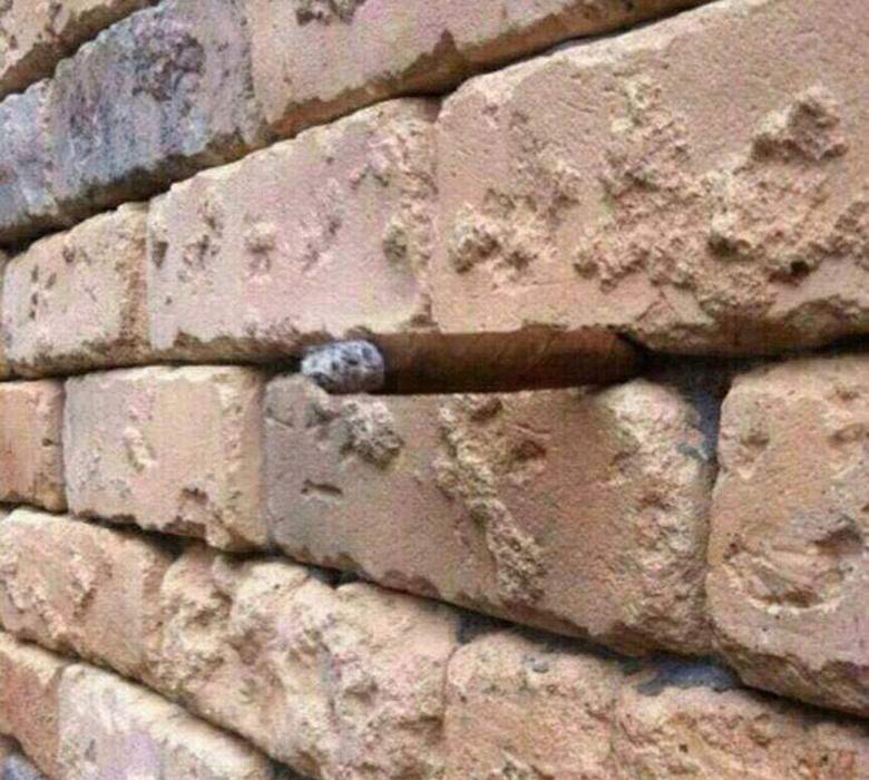 An outlandish optical illusion: at first glance this is an ordinary wall