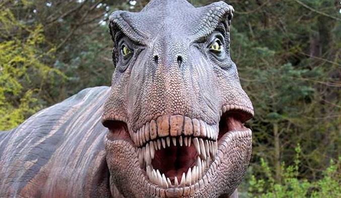 Were the dinosaurs drug addicts?