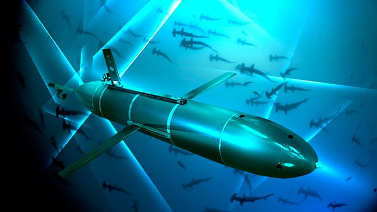 What are unmanned submarines for?