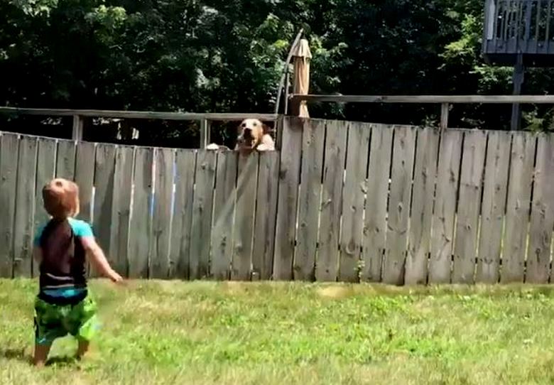 For two soul mates, a high fence is no barrier