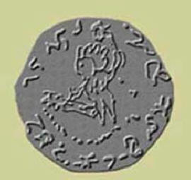 Prehistoric Artifacts: Coin from Illinois, Shell Image