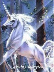 The unicorn is more wonderful than all miracles!