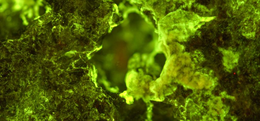 ISS experiment shows how you can mine fossils in space with 400% efficiency 