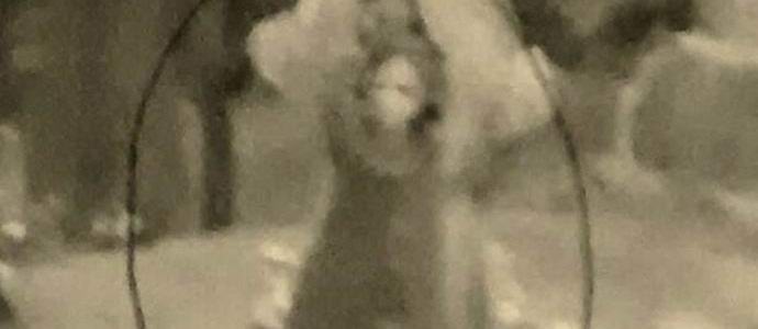 The psychic photographed a ghost of a witch in a cemetery