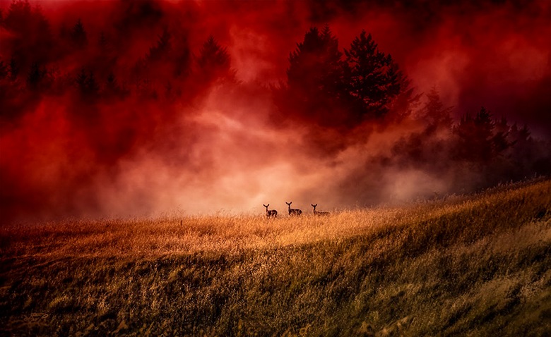 Another interesting natural phenomenon is the red fog.