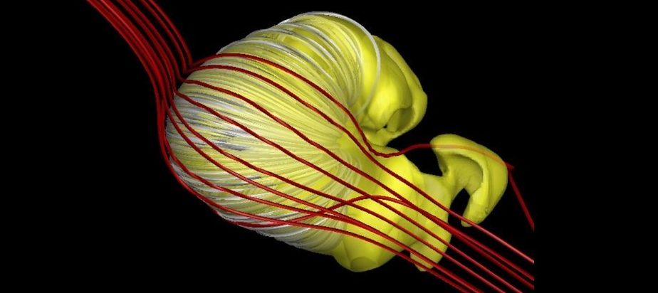 This strange shape could actually be what our Sun's magnetic bubble looks like. 