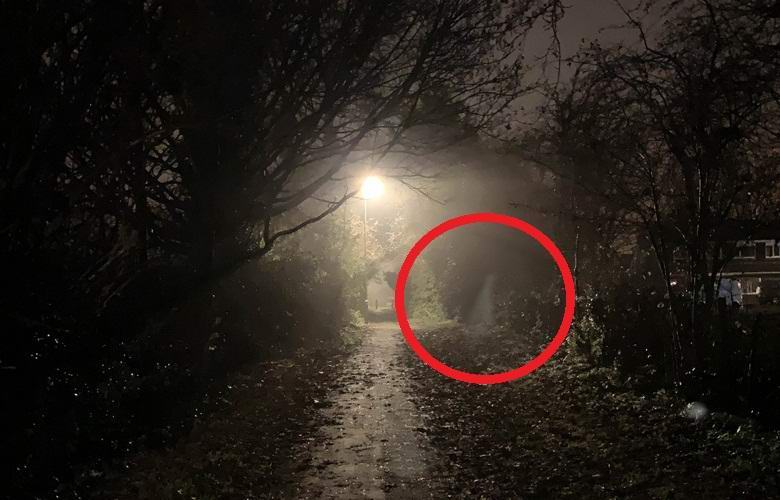 Phantom silhouette captured on a night trail