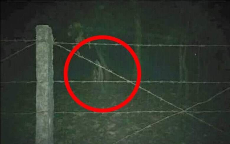 The ghost photo caused a stir in the Indian campus