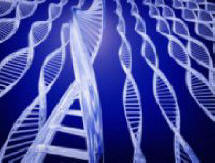 Is genetic selection in the future inevitable?