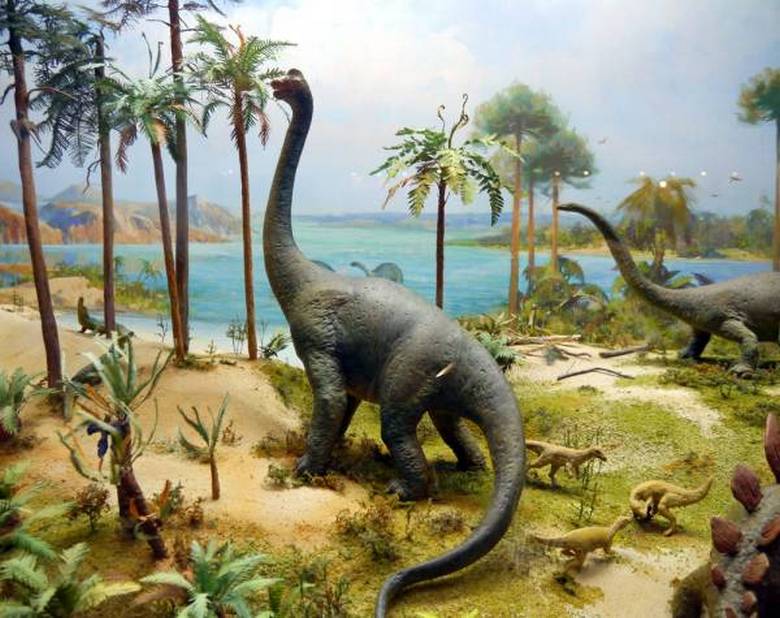 Giant dinosaur bone found in France