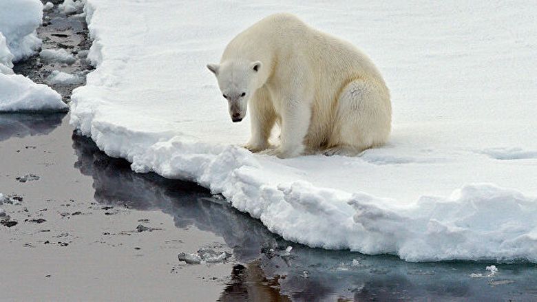Global warming is more dangerous for true scientists than for polar bears.