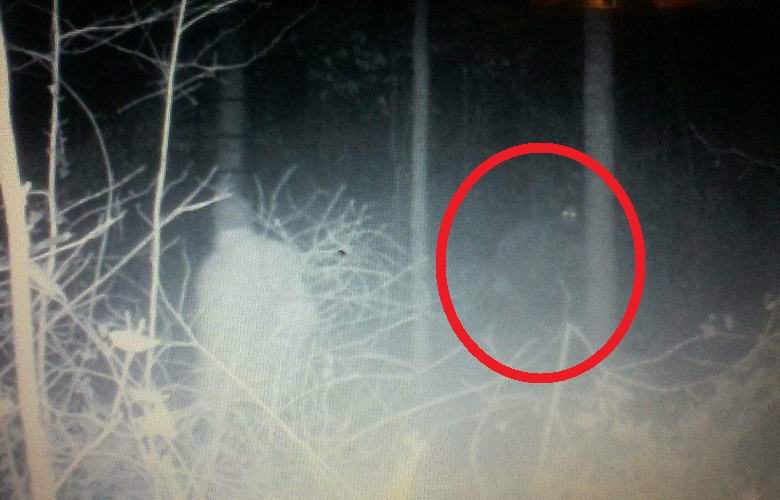 A humanoid creature accidentally captured in the forest