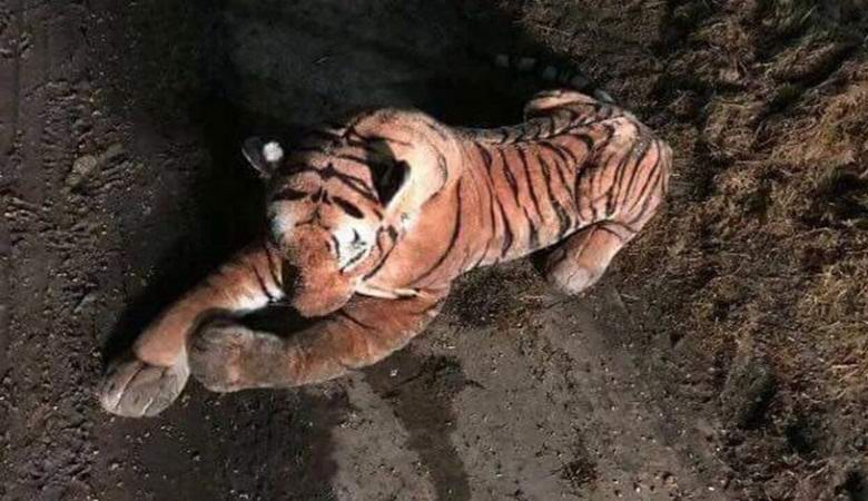 Toy tiger scared the British police