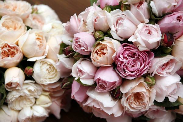 artificial flowers in the house signs 