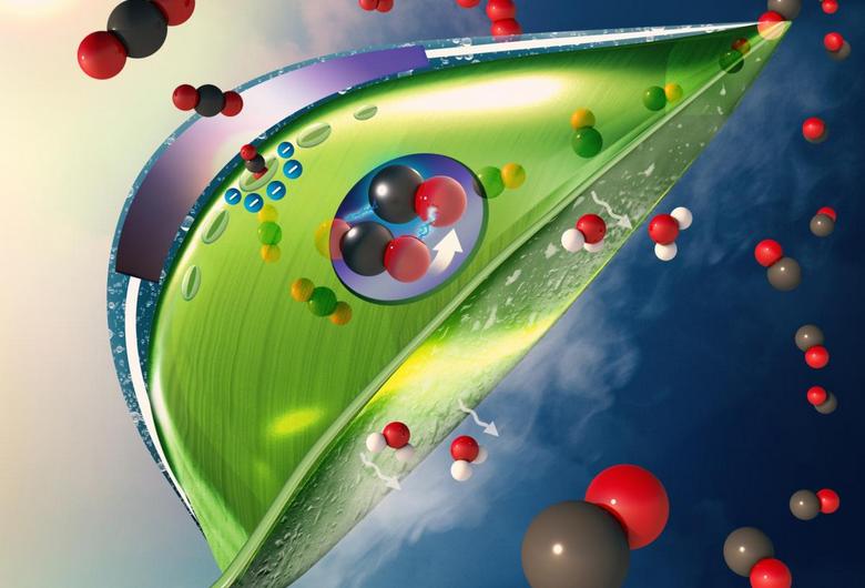 Artificial leaves can absorb CO2 many times more effective than real ones