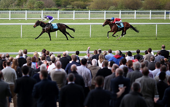 Artificial intelligence hit the big jackpot at the races