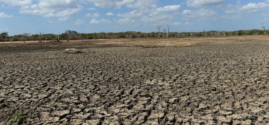 Research shows parts of North America could become desert 