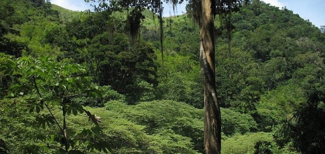 Researchers have discovered an ancient lost city in the jungle of Honduras.