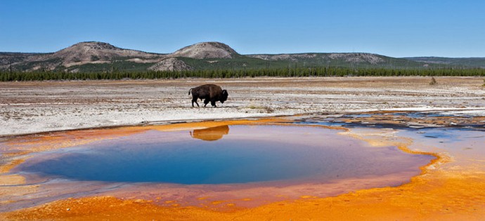 Yellowstone will not be able to explode without assistance