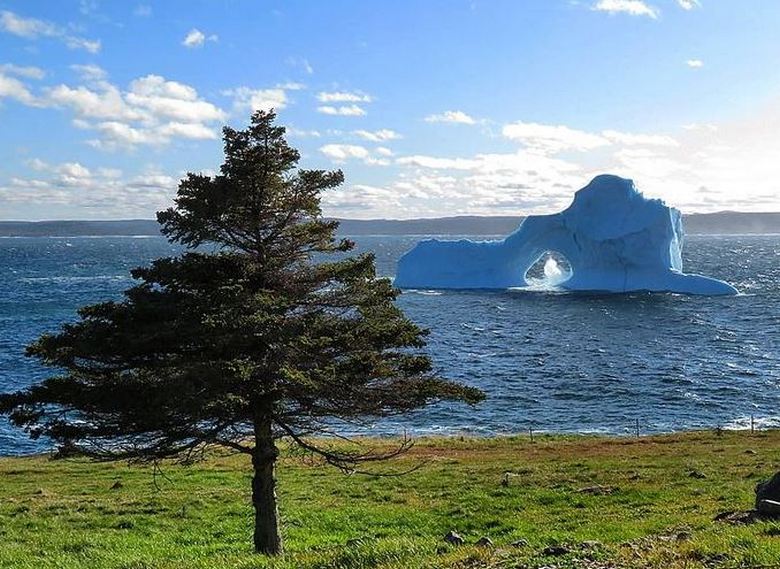 The most unusual iceberg sailed to the shores of Canada