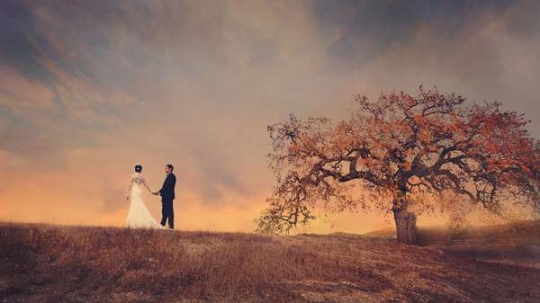 dream book to see yourself in a wedding dress for a married woman 