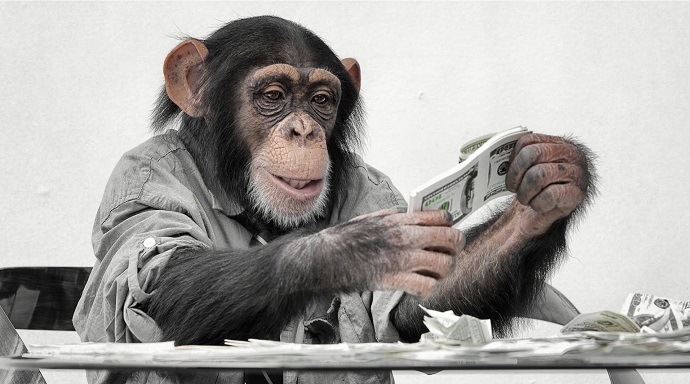 How money was made from a human monkey