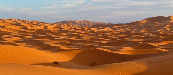 How the Sahara Desert is related to the forests of the Amazon