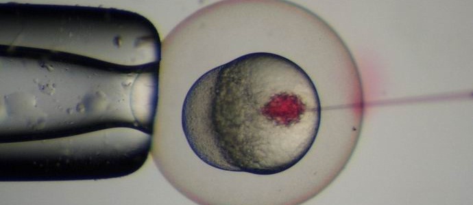 The Chinese carried out the first ever genetic correction of a human embryo