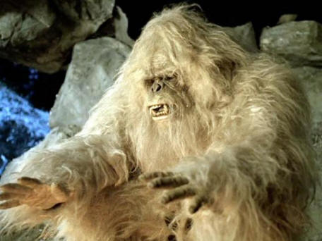 Chinese Yeti