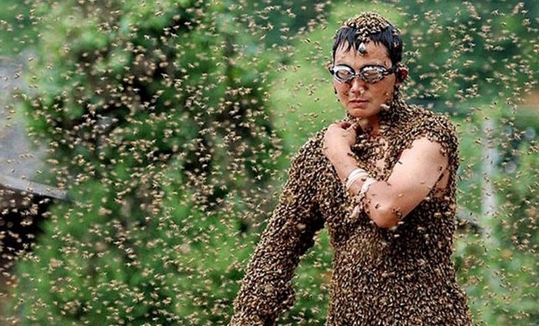 When bees can dramatically change or even interrupt your life