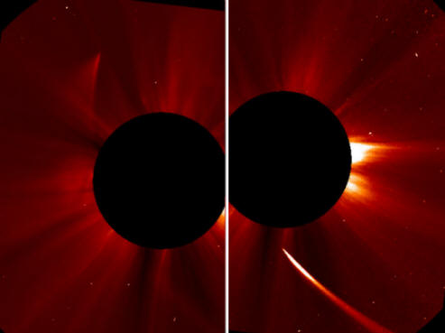 ISON Comet Phoenix reborn from the ashes