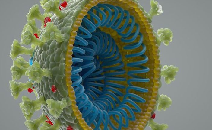 The coronavirus was not created in a laboratory.  Here's what scientists say 