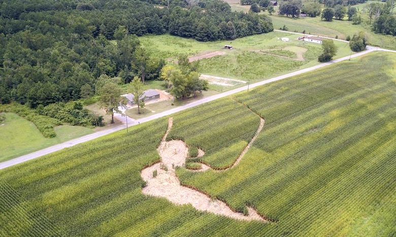 Crop circles are not just aliens