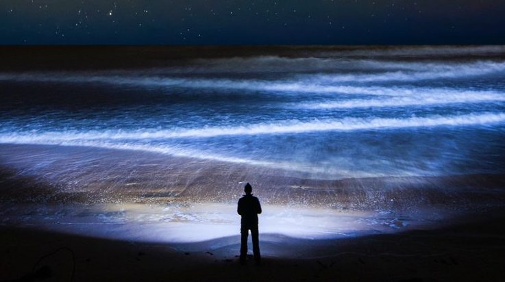 The largest migration on the planet happens every day, and we do not notice it 