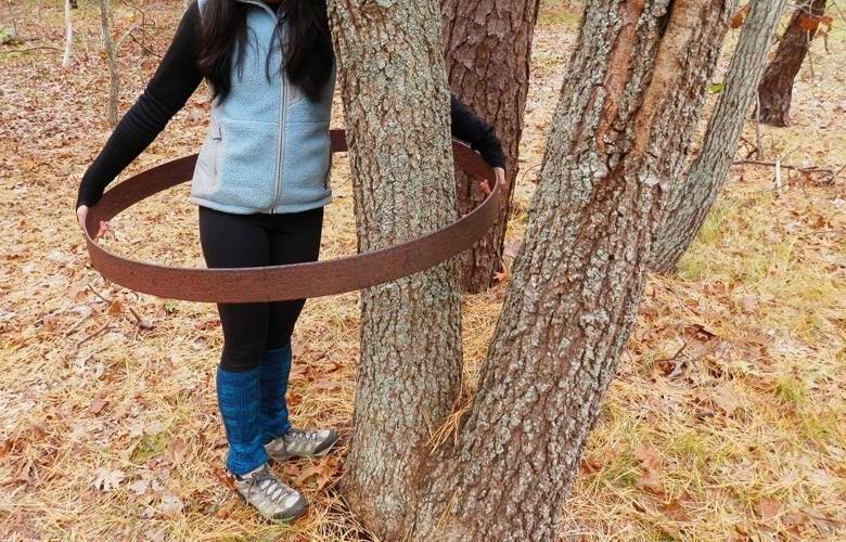 Someone put a mysterious metal ring on a tree in Indiana.